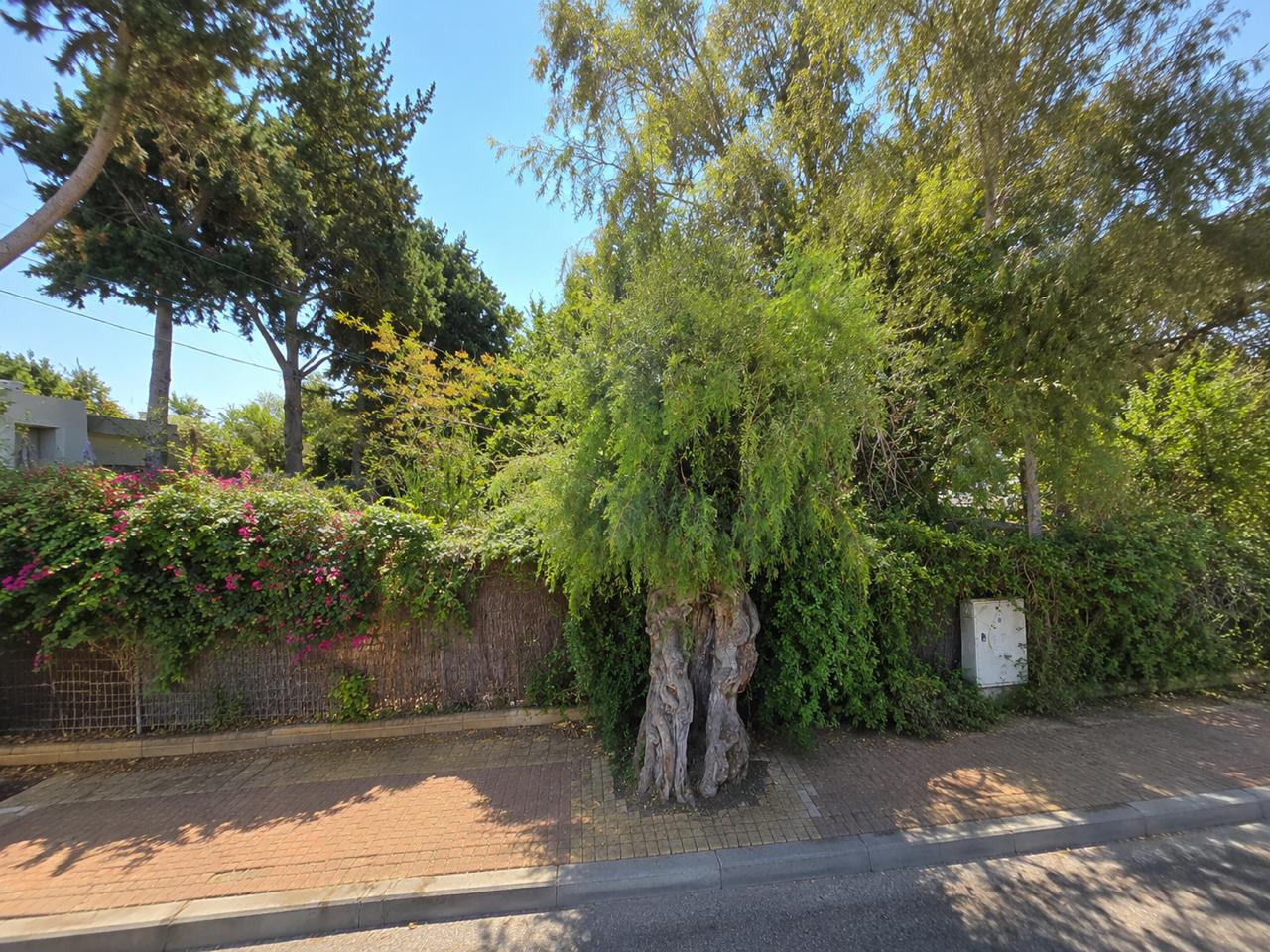 מגרש למכירה בנוף ים הרצליה כ־1.5 דונם